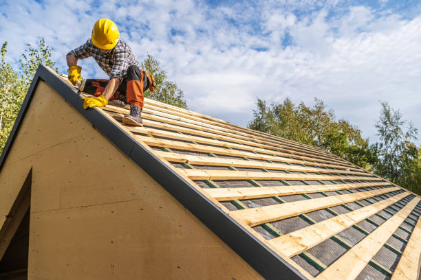 Best Roof Gutter Cleaning  in Mineralwells, WV